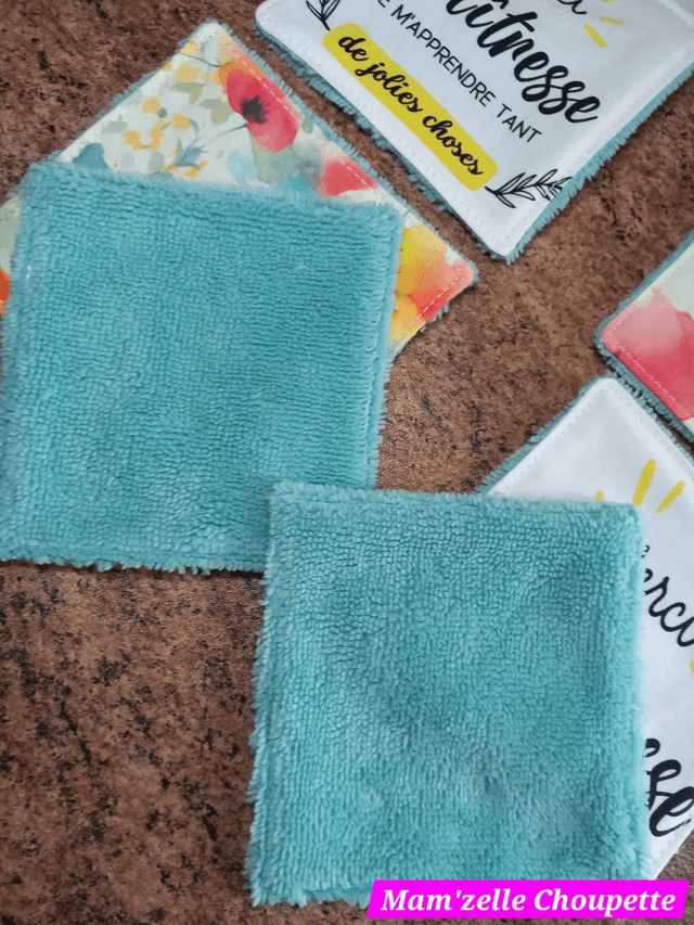 Lot de 8 lingettes Maîtresse