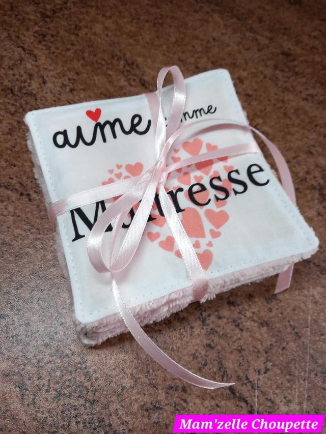 Lot de 8 lingettes Maîtresse 