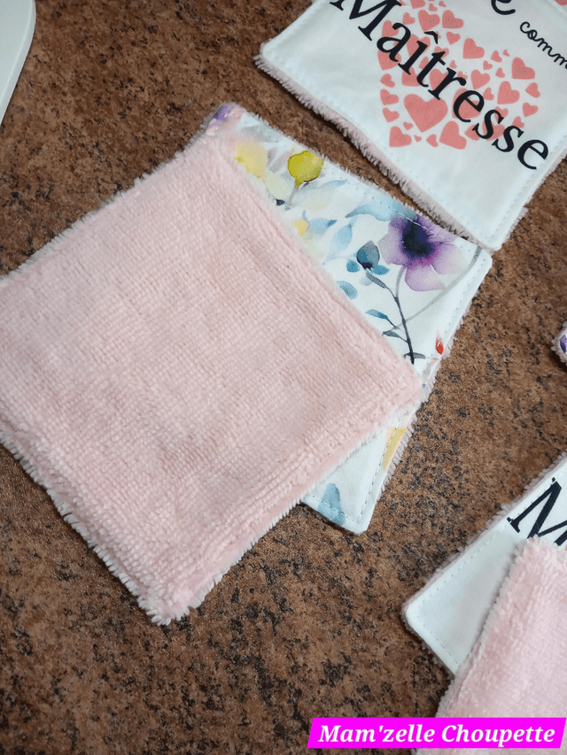 Lot de 8 lingettes Maîtresse 
