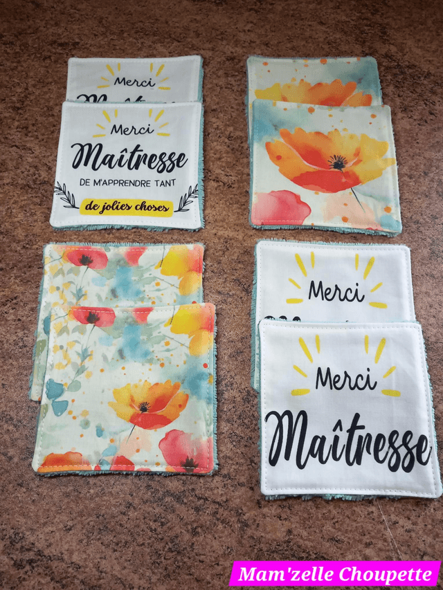 Lot de 8 lingettes Maîtresse